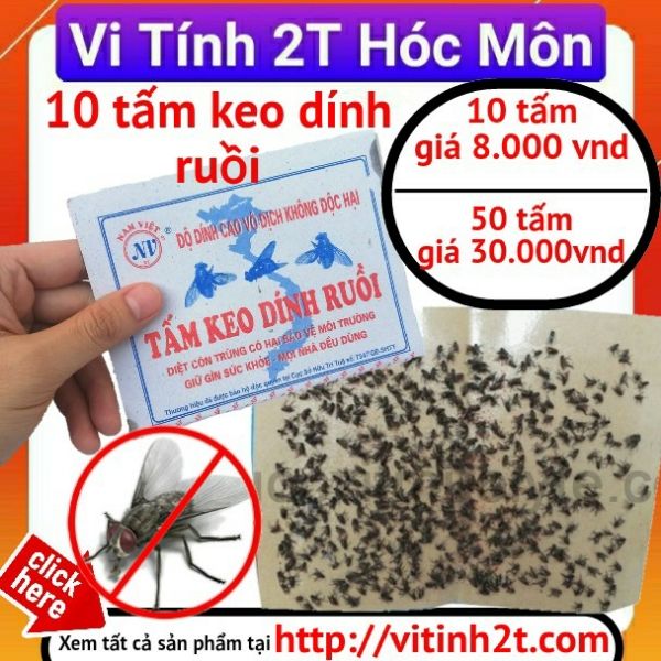 10 miếng keo dính ruồi - dán ruồi - bẫy ruồi