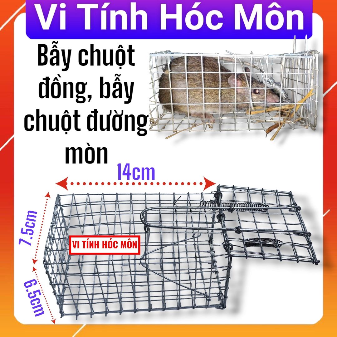 Lồng bẫy chuột đồng, bẫy chuột lối mòn, bẫy sóc