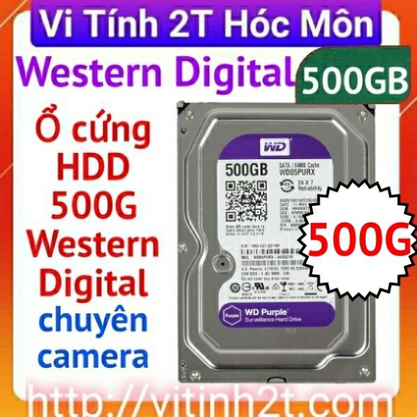 Ổ cứng HDD western digital 500g chuyên camera